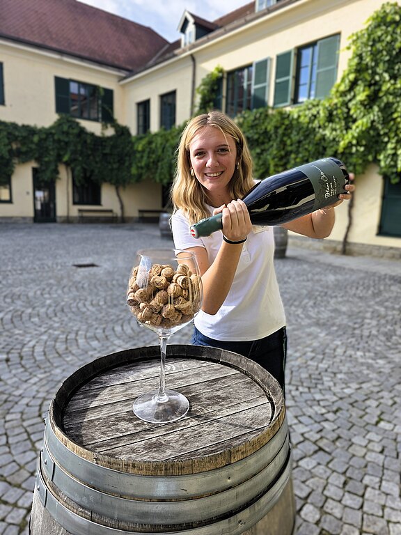 WinzerKrems_TagdesSekts_2026_Gewinnspiel.jpg